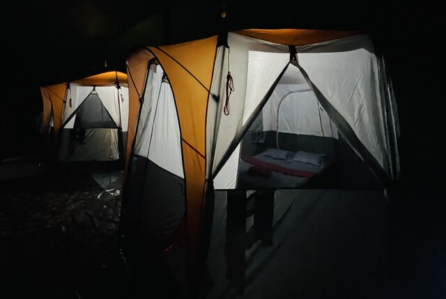 night camping wayanad 