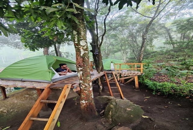 wayanad tent stay
