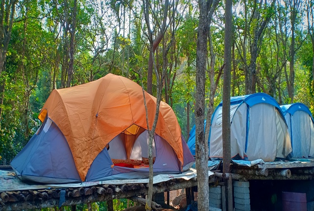 adventure wayanad tent