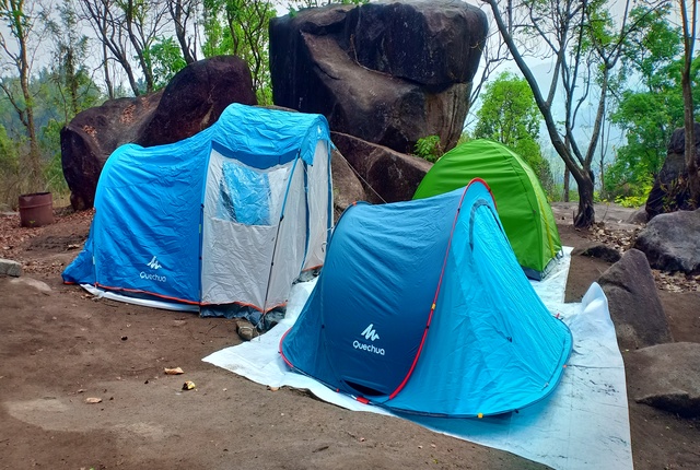 camping in munnar,wayanad